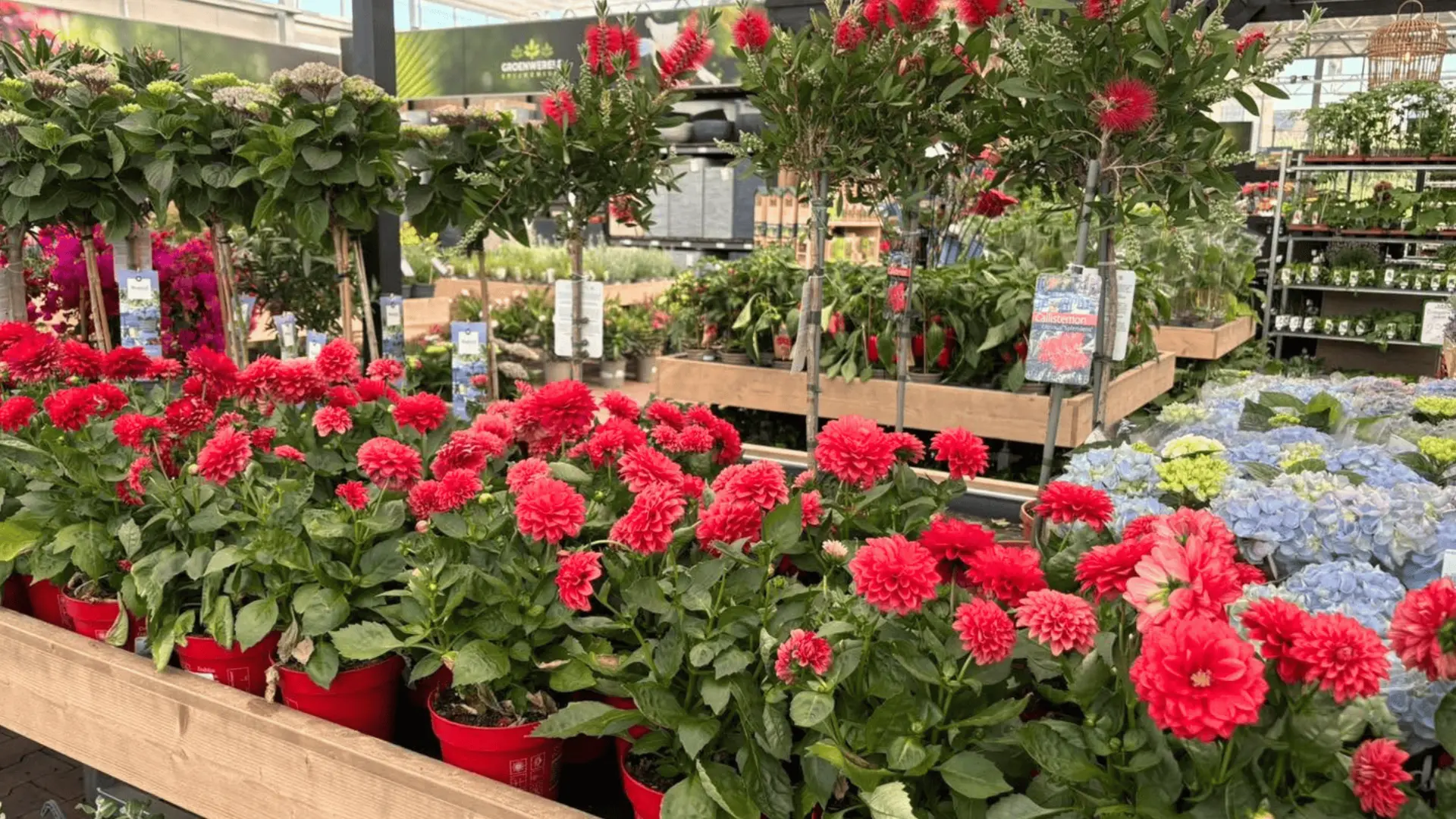 Ontdek ons assortiment