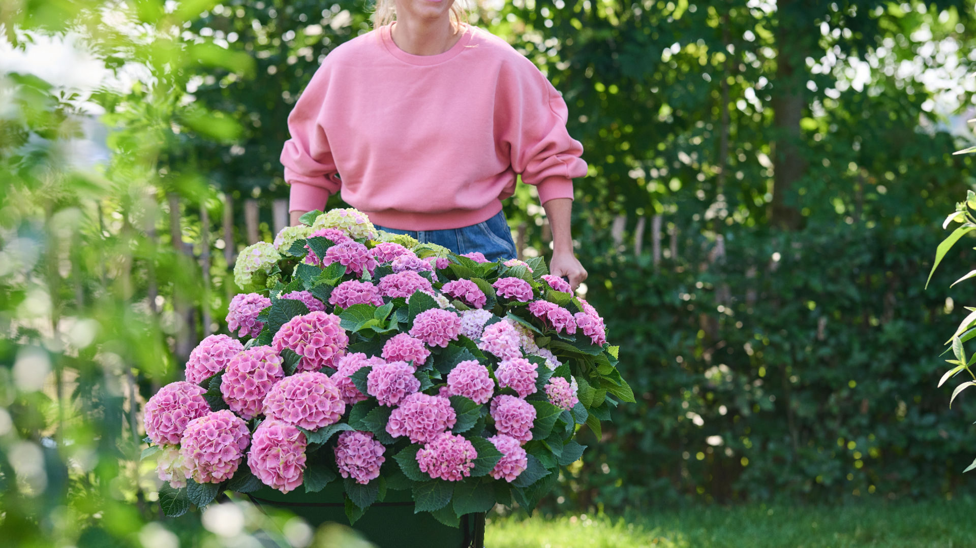 Ontdek ons assortiment