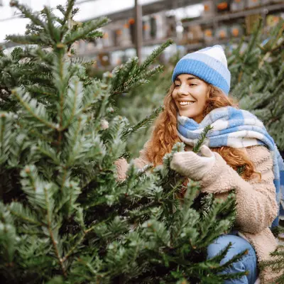 Kerstbomen